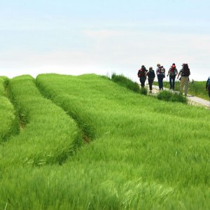 pilgern