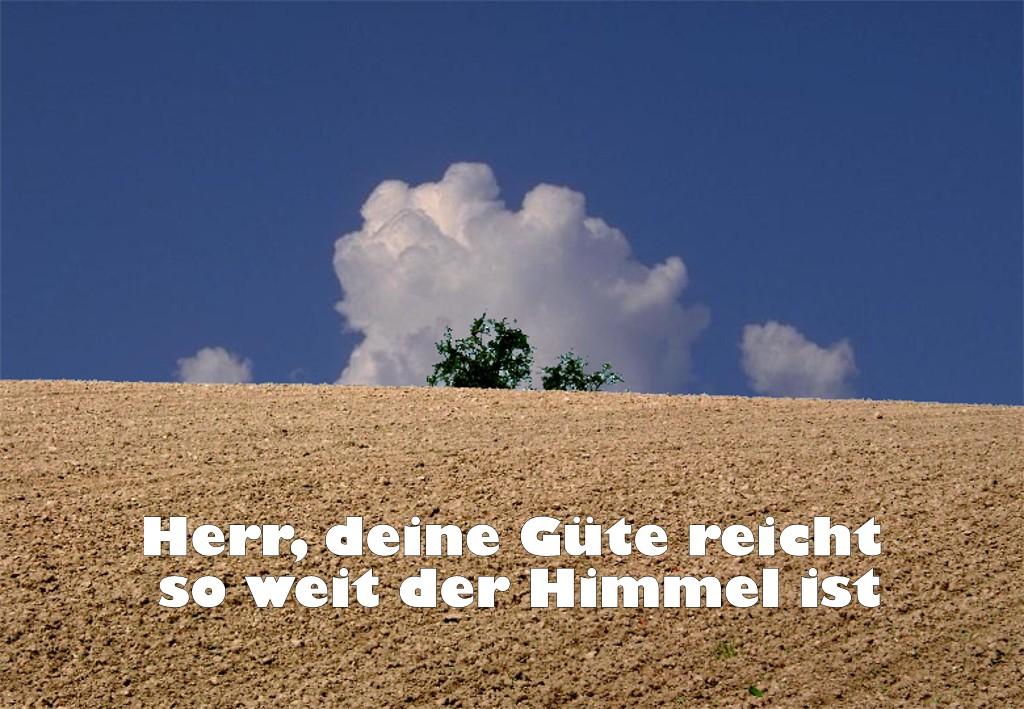 5957_feld_01a