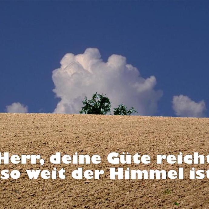 5957_feld_01a