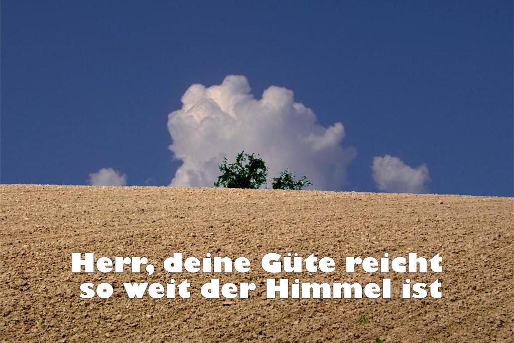 5957_feld_01a