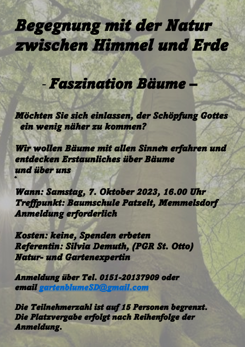 Baumseminar