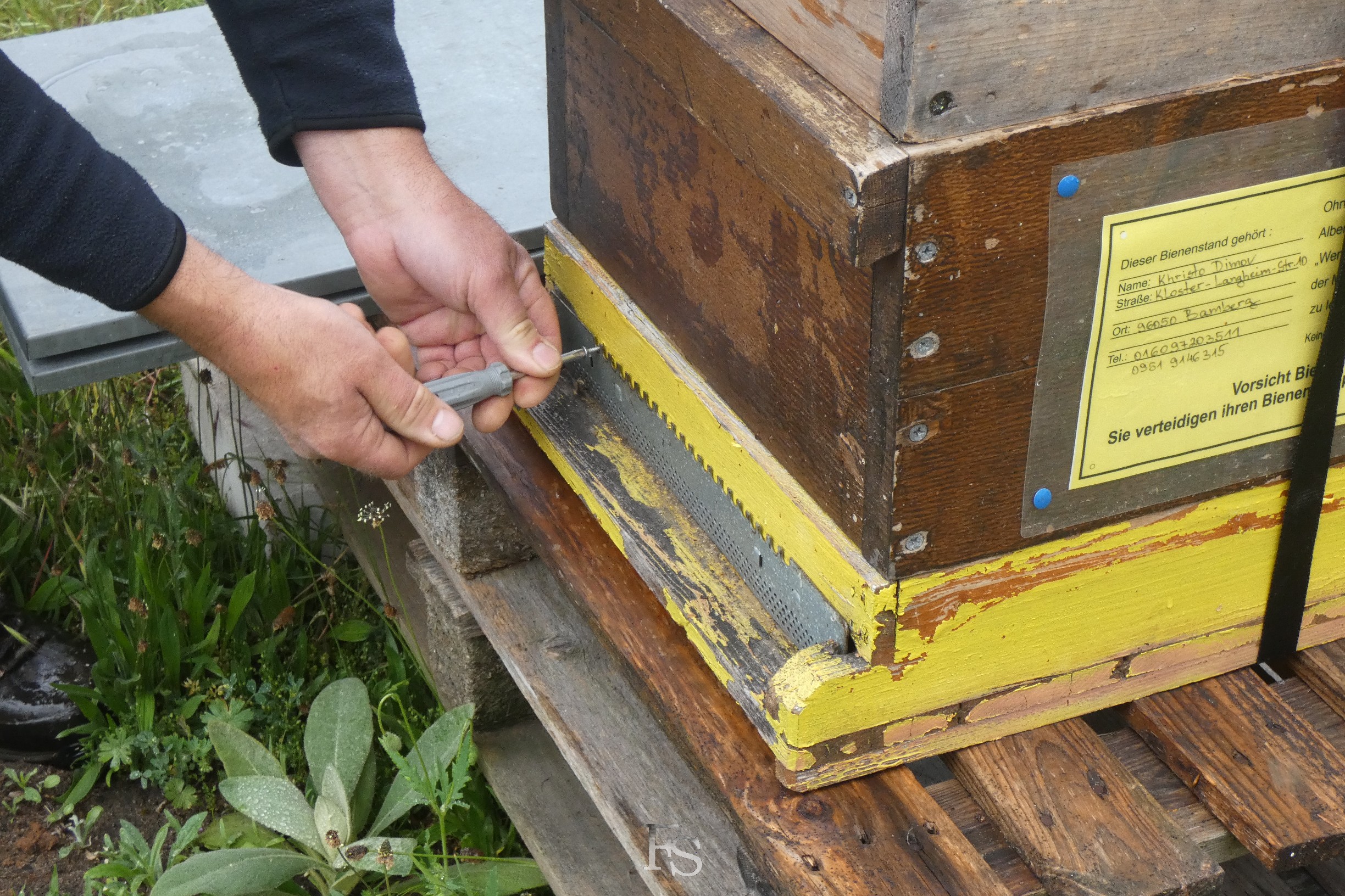 Bienenvolk im Pfarrgarten der Wunderburg