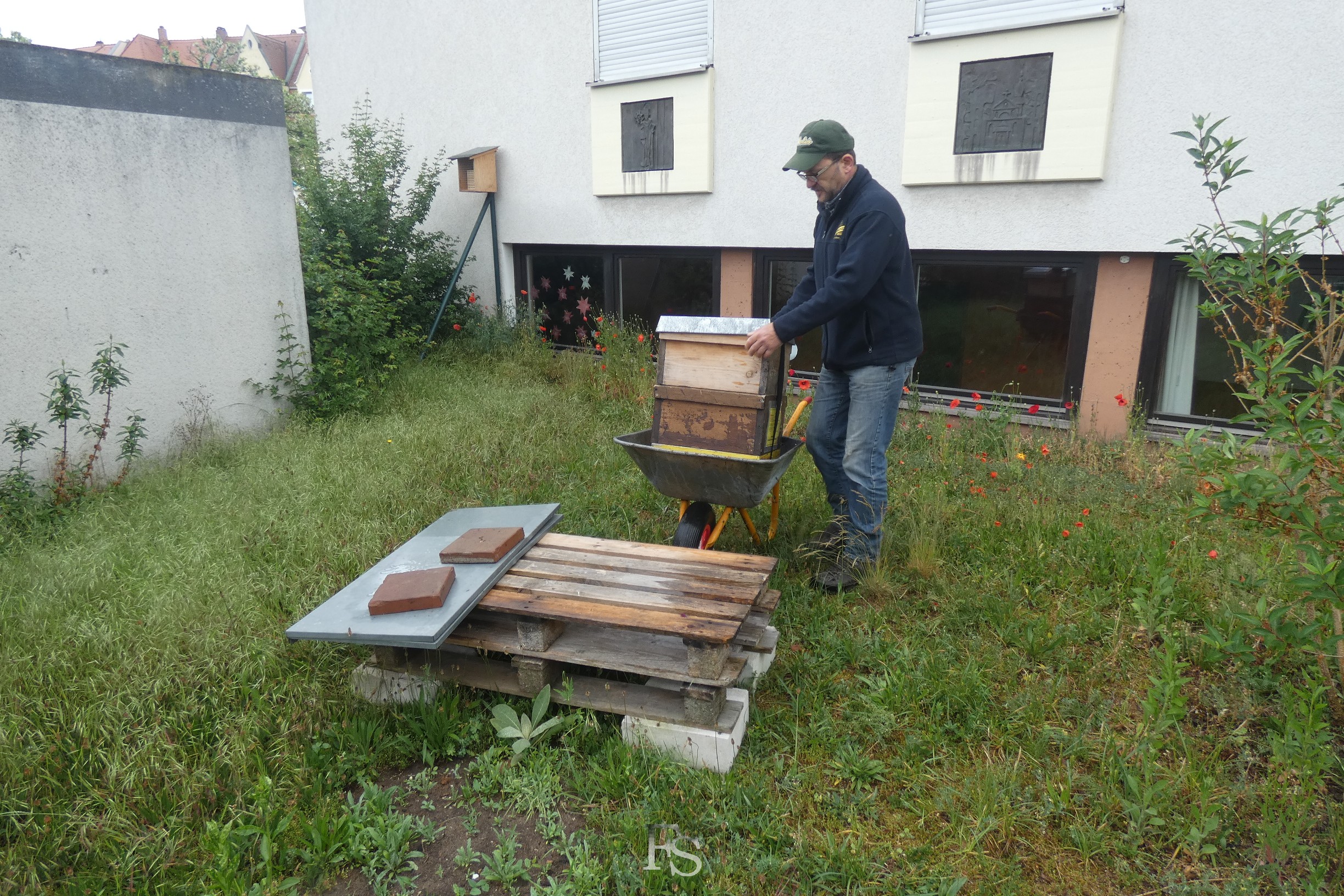 Bienenvolk im Pfarrgarten der Wunderburg