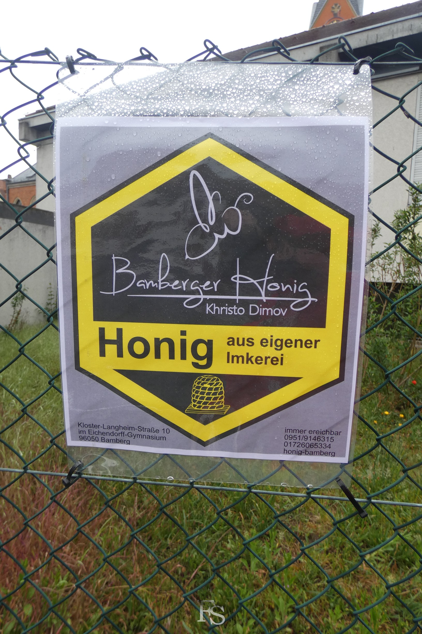 Bienenvolk im Pfarrgarten der Wunderburg