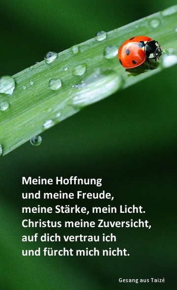 Hoffnung und Freude