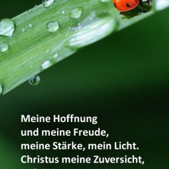 Hoffnung und Freude