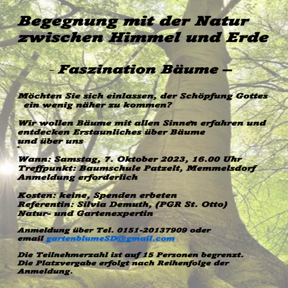 Plakat_Baumseminar_heller­_071023