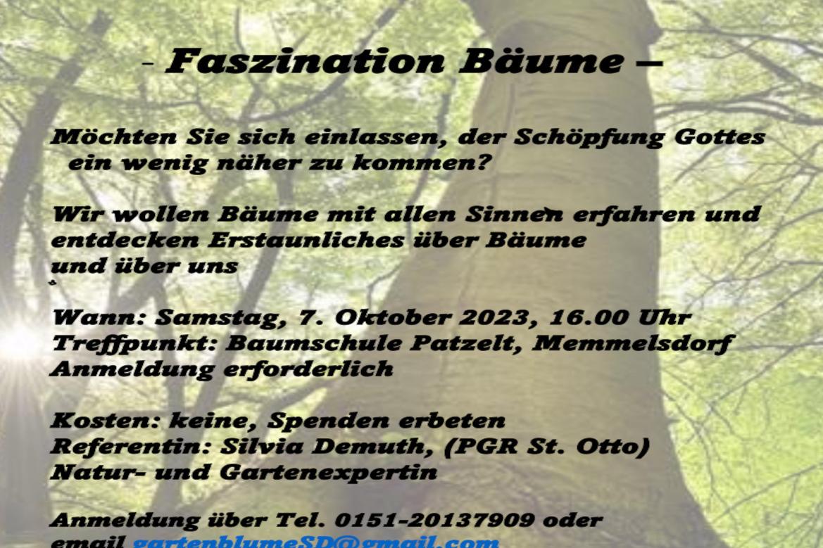 Plakat_Baumseminar_heller­_071023