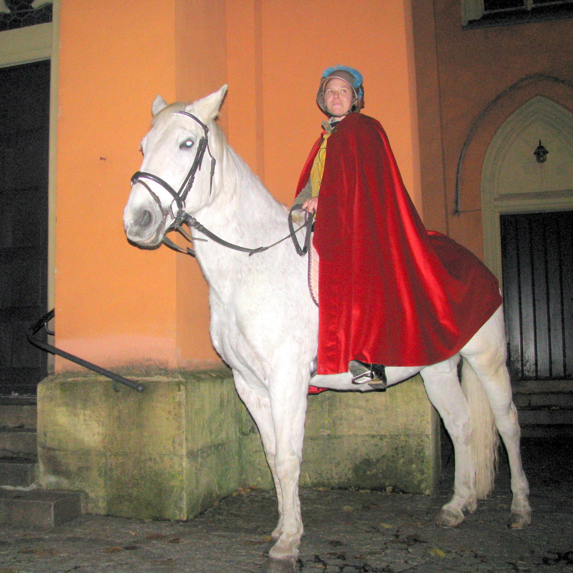 St. Martin auf dem Pferd in der Wunderburg